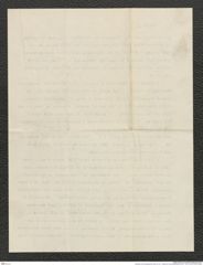 Nachlass Franz Steindachner, Brief von W. J. Holland an Franz Steindachner (22.11.1910), Inv.Nr. 235.03, Seite 4
